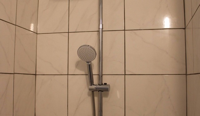 5-minute walk from Aigre, 60m2 ground floor apartment