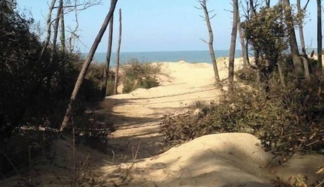 5 minutes from Parc de la Villette & Canal de l'Ourcq, renovated apartment