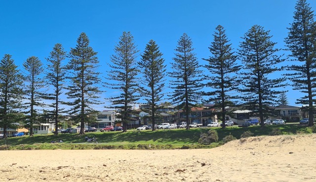 5 minutes to beaches park & beach walks pet friendly