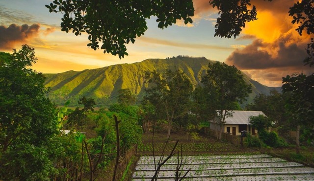 5 minutes walk to the gate of the Rinjani Mount Trekking Centre in Sembalun.