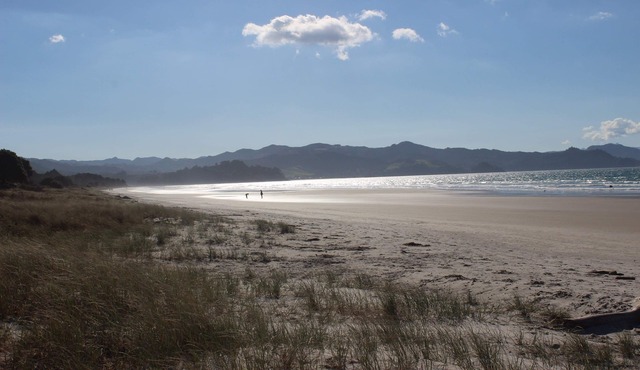 5 minutes walk to beautiful beach & shops, fully fenced section pet friendly.