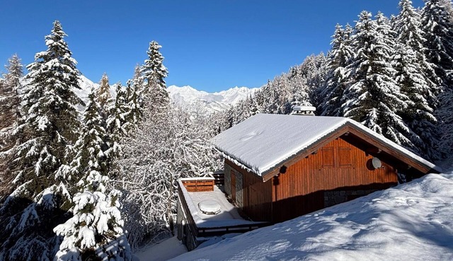5-room Chalet Vallandry, 12 pers, pets allowed, parking, WiFi