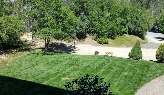 5 rooms with private baths