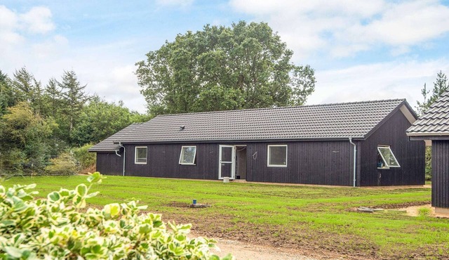 5 star holiday home in Ansager