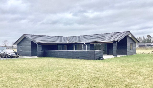 5 star holiday home in Ansager