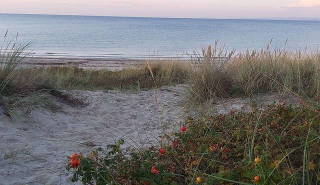 5 star holiday home in Hornbæk