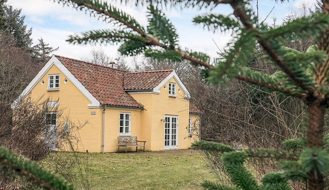 5 star holiday home in Skagen