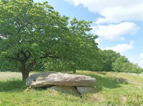 5 star holiday home in Hovborg-By Traum