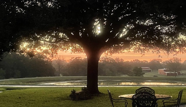 5-star property 1 hr W of Katy, 30 min to Round Top, near The Vine Wedding Venue