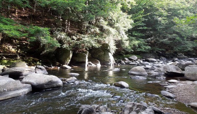 5 STAR RATED, Reduced space/cost for 2, 1st floor stay, See photos, 1 bedroom