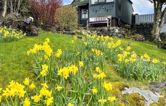 5 Star Shepherds Hut in Betws y Coed with Mountain View