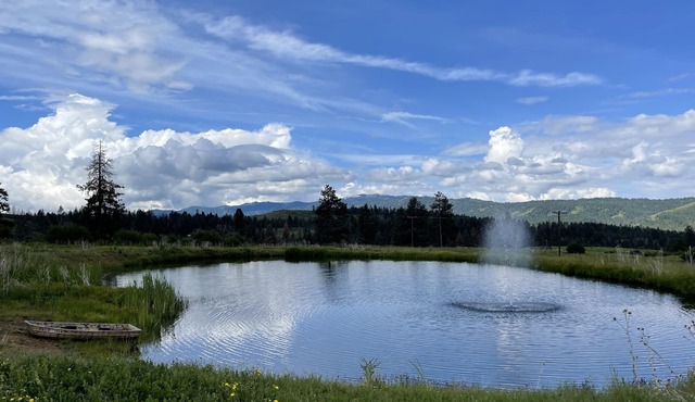 5 Talents Ranch, Cambridge