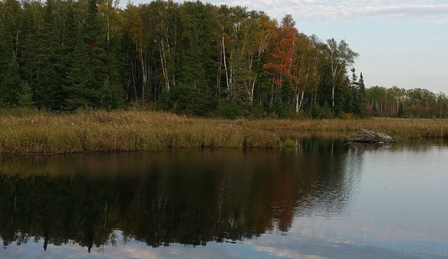 5 Unique Cabins And 2 Houses For A Large Group, Family Reunion, Or Wedding