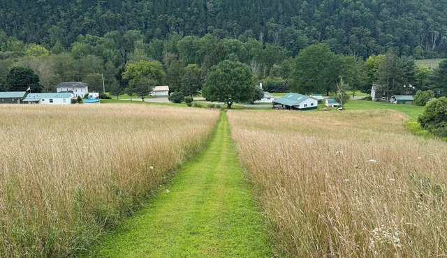 50 Acres of Adventure: Discover Walter’s Place”