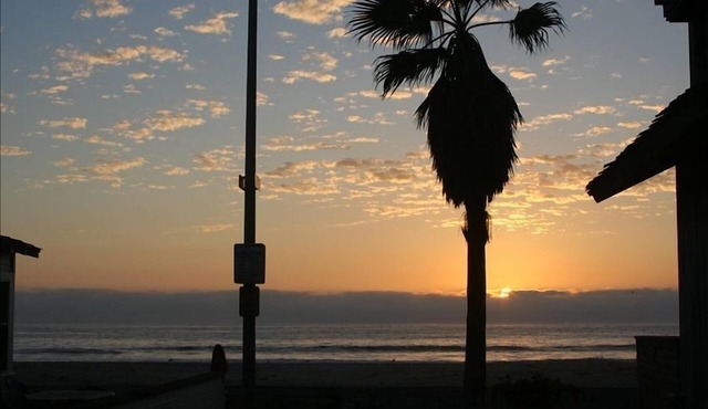 50' from Ocean - Amazing View - Private Cottage - Not a Condo