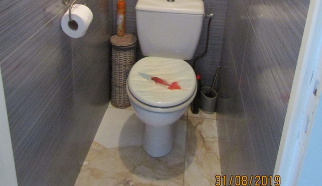 50 M from the beach, direct access without road to cross, studio cabin SEA VIEW