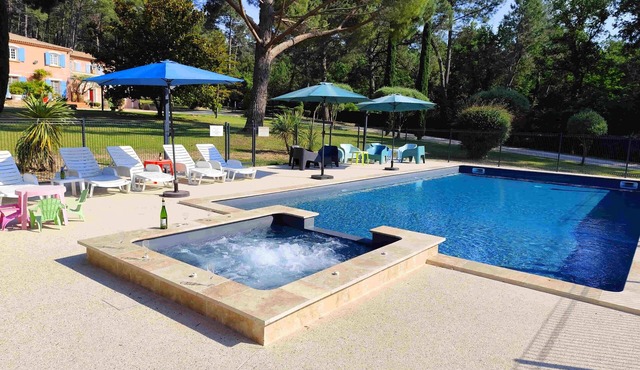 500m² Provencal villa in the Vaucluse, with swimming pool on 1.6ha (25 pers max)