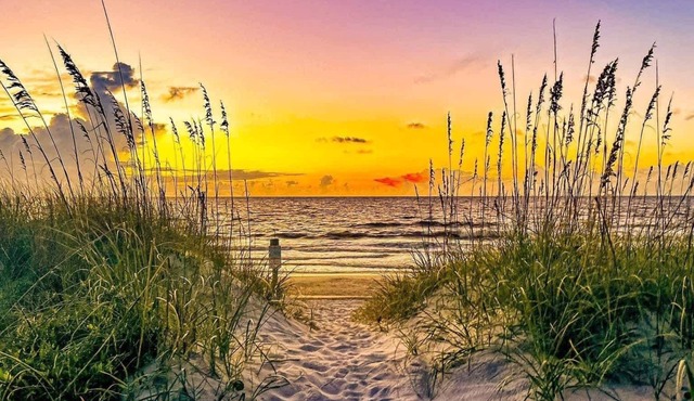 508+509 Rent together! Cheaper than a Beach House - 300 Steps to the Beach!