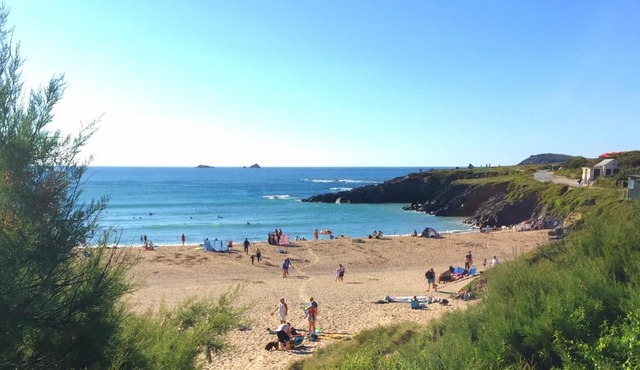 50m FROM THE BEACH, dogs welcome