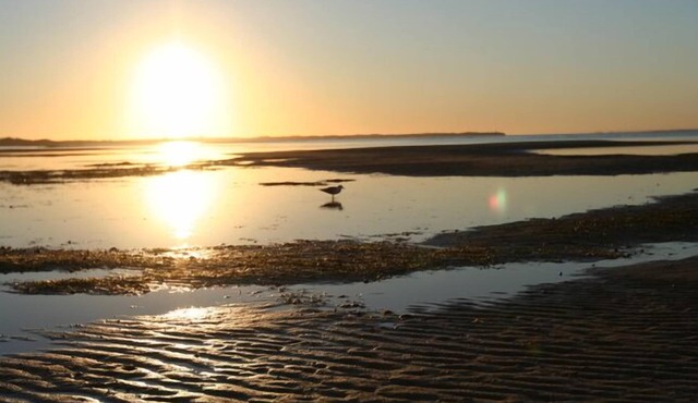 50m to the beach! Your own beachfront views.