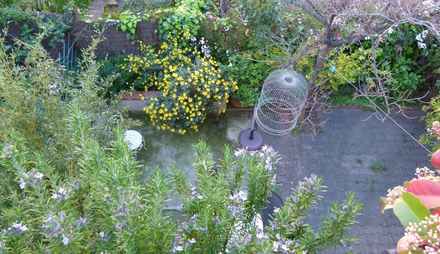 50M2 Perpignan quiet center with flower garden 15mm from the sea