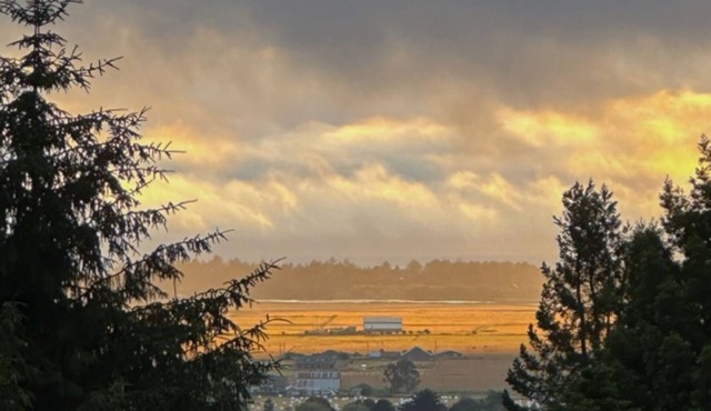 55% Discount 🌅 Ocean View w Firepit & Redwoods 🌲 Near HSU 🐕👍