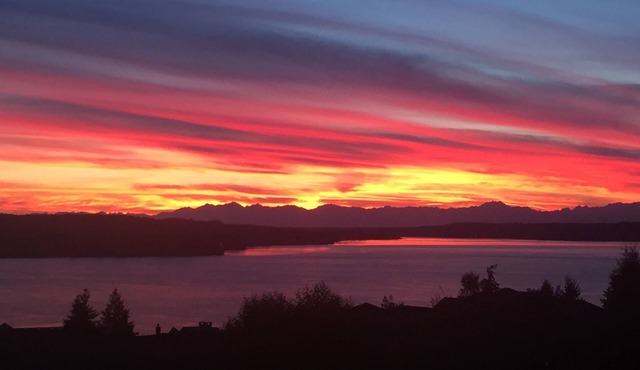 5br Sweeping View Of Puget Sound & Olympics; Under 1 Mile Chambers 2015 US Open