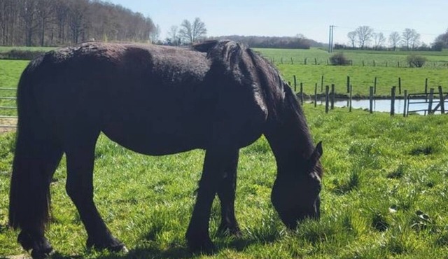 5min Town, Nature and Waterside in Perche