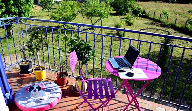 5pax apartment in a guest house at 16kms from the Basque Country and the beaches