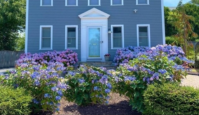 5th Ward! Short hop to shopping, dining & waterfront! Firepit, Hot Tub & Rooftop