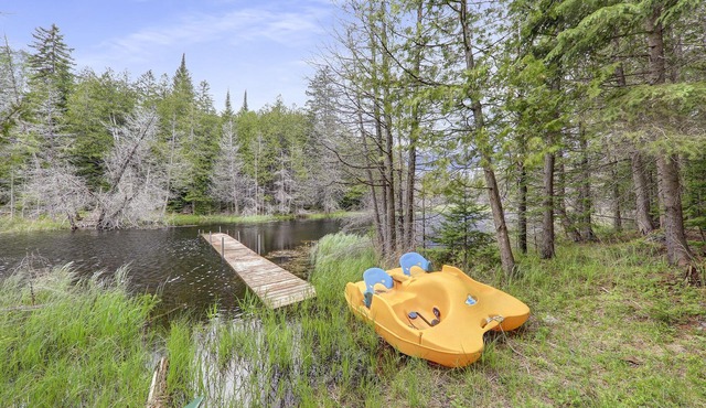6 br stunning cottage in woods Own Waterfront