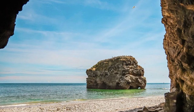 6 Guests - 3 Bed House in Chester-le-street