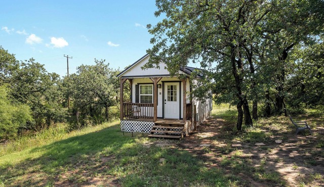 6 Hico Glamping Petting Zoo Campfire Fossil Rim