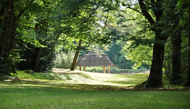 6-person lodge rental