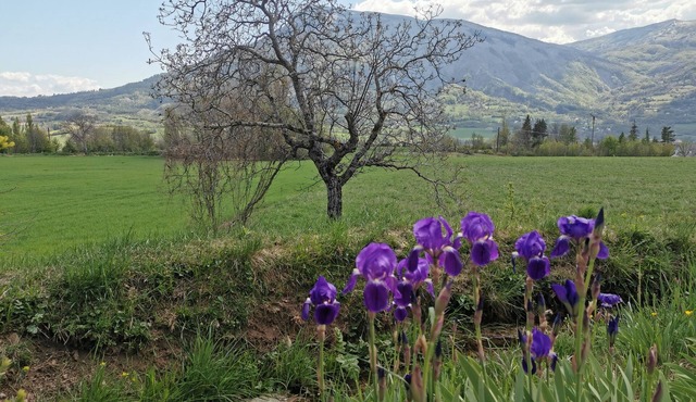 6-person house with garden and balcony terrace