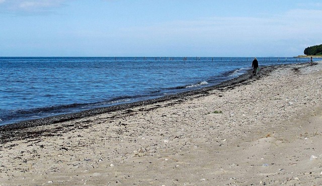 6 person holiday home in Dannemare