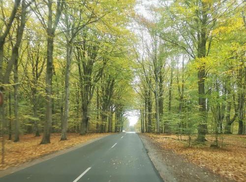 6 person holiday home in Henne-By Traum