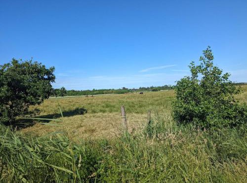 6 person holiday home in Blåvand-By Traum