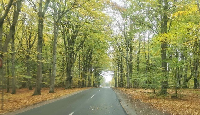 6 person holiday home in Henne-By Traum