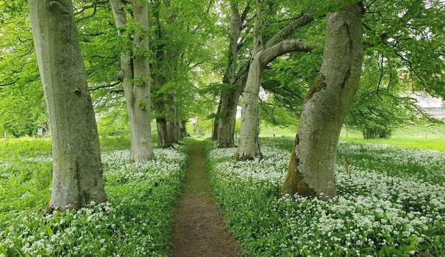 6 Person Holiday Home in Hojslev-by Traum