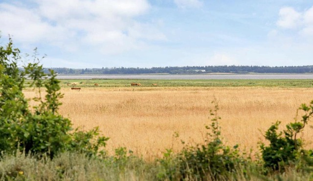 6 person holiday home in Oksb l