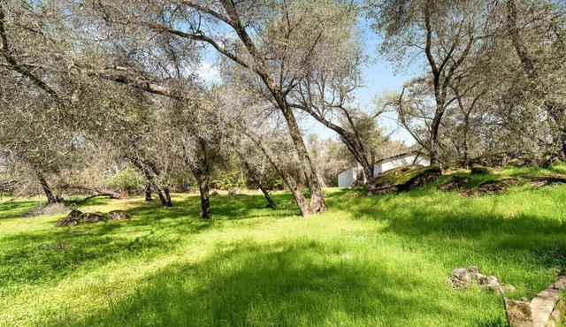 6 Rooms & 4 Baths - 2.5 Acre Folsom Lake Resort