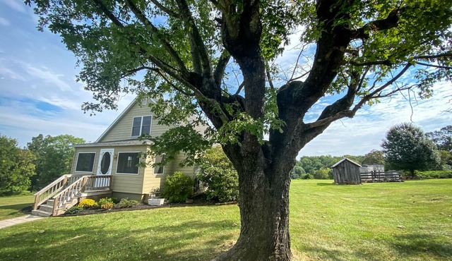 60 acre farm with mountain views & trails. 15 min from Shenandoah National Park