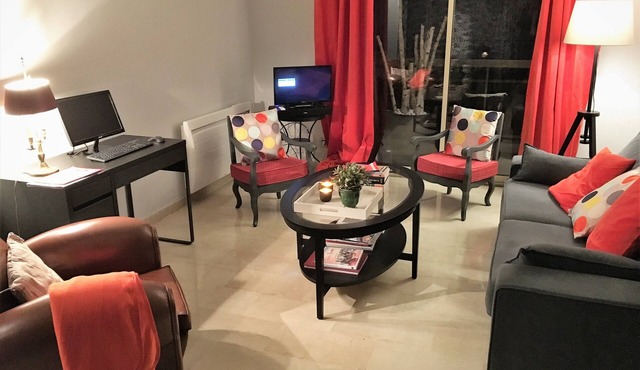 60m ² entirely renovated center Lyon view Rhône