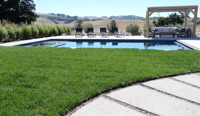 7-Acre Farm w/Pool Nestled in Sonoma Wine Country - 4Bds + 3 Bath