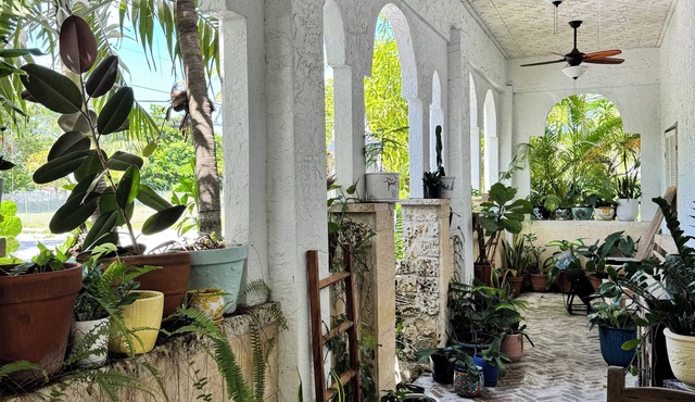 7 bedroom Beautiful, Clean - Coconut Grove