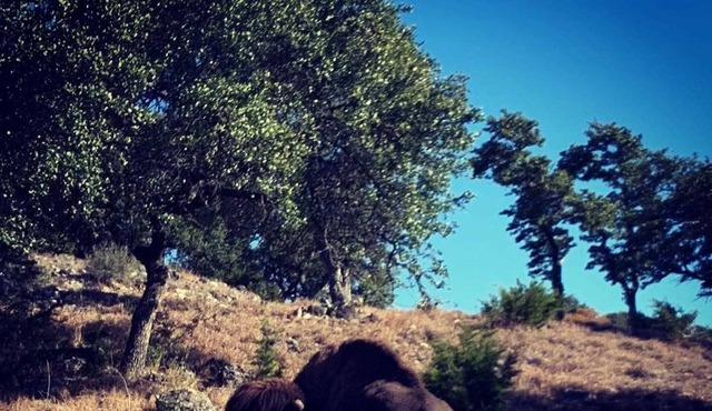 7 Canyons Ranch - Comanche Room