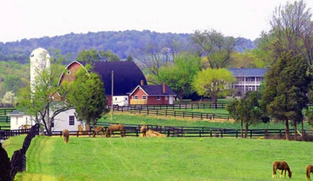 7 Homes, One 600-Acre Farm = Perfect For Wedding/Reunion/Big Family Gathering