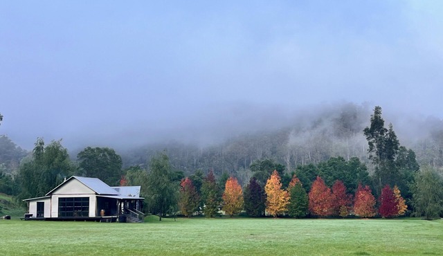7 minutes from Wollombi town, 5 acre property with cozy house and separate barn.