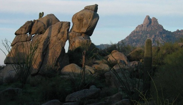 7 Nights of Desert Paradise 3/10-17 -- 2023 Spring Break & Spring Training
